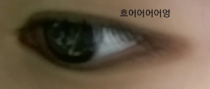 이러케됩니당!😼