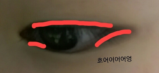 빨강색으로 된부분을 4번으로 그어주시고 스머징브러쉬(5번)로 그었던 부분을 문질문질해주세요😀