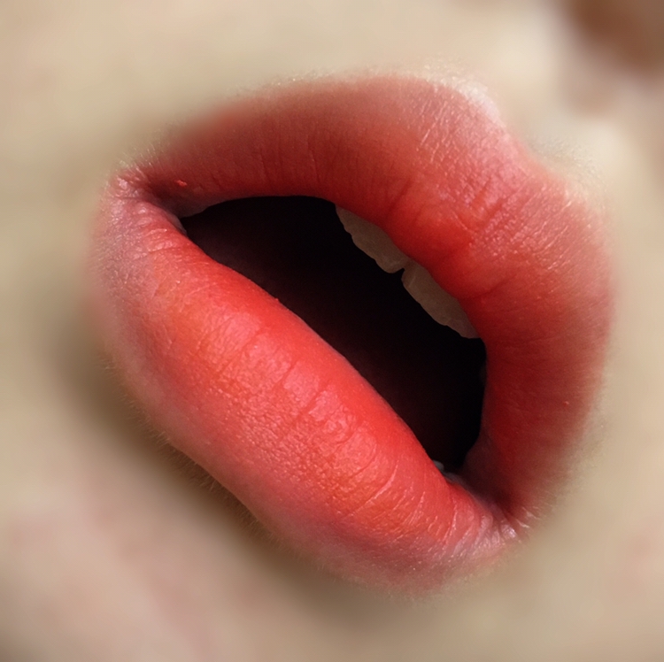 5. “단감이많이단감”을 입술 안쪽에 발라주고나서 블렌딩해줍니다