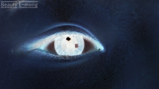 제가 눈 주위에 요철이 많은 편인데도 매끄럽게 잘 매워주니까 요철이 거의 보이지 않습니다 !!