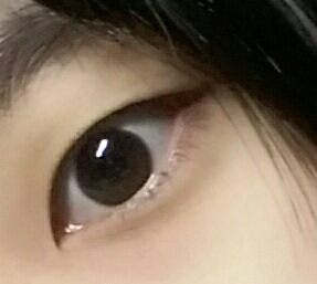 제원래무쌍눈1