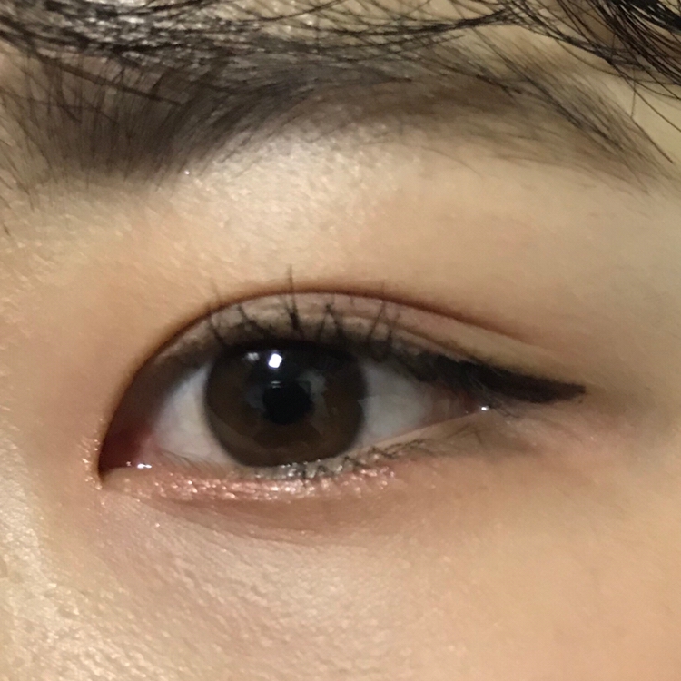 고동색이에요! 어두운 브라운