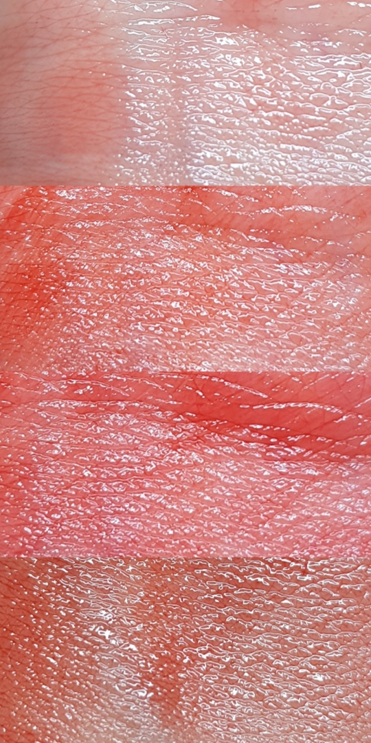 위쪽부터 무심결에무화과, 깨물고싶귤, 키키칠리토마토, 감잡은홍시 순이에요