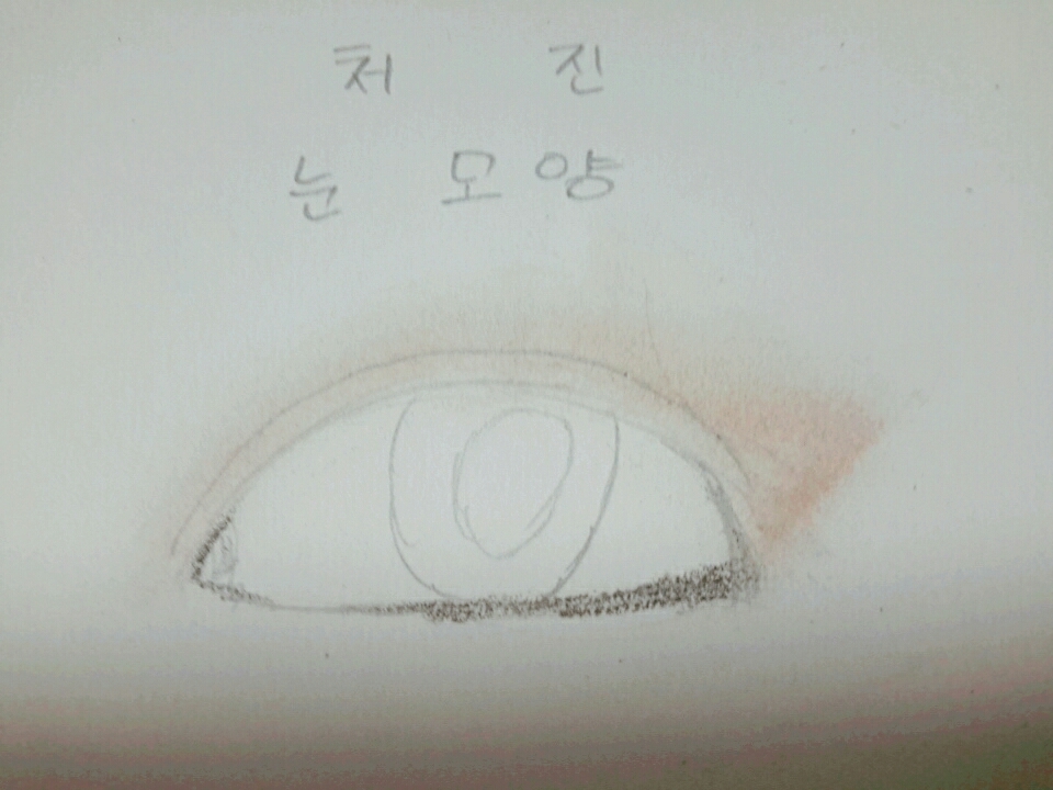 처진눈은 올라가게보이기위해 도구를 사용합니다 테이프를이용해 눈 라인을 잡아주고 섀도우로 칠해주면 되요 
자세히보이기 위해서 좀 과하게 했어요 직접 일하면 이정도는 안되요 참고해주세요!그리고 점막에는 브라운펜슬을 칠해줘요