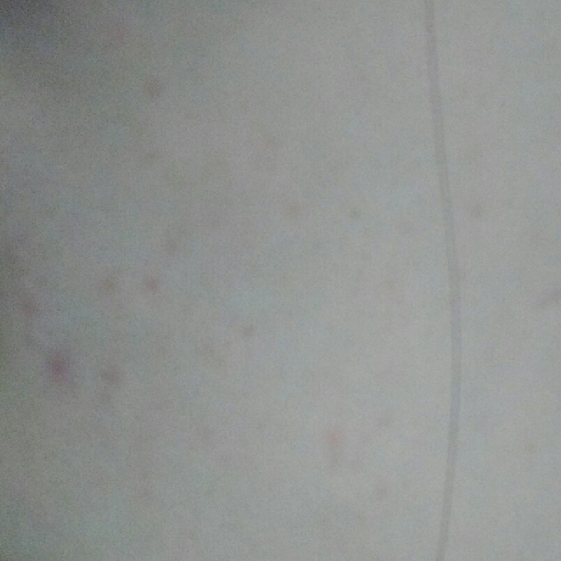 이건 초대박...정말 드름이들한테 너무 좋아요 전 또 살겁니다 ♡