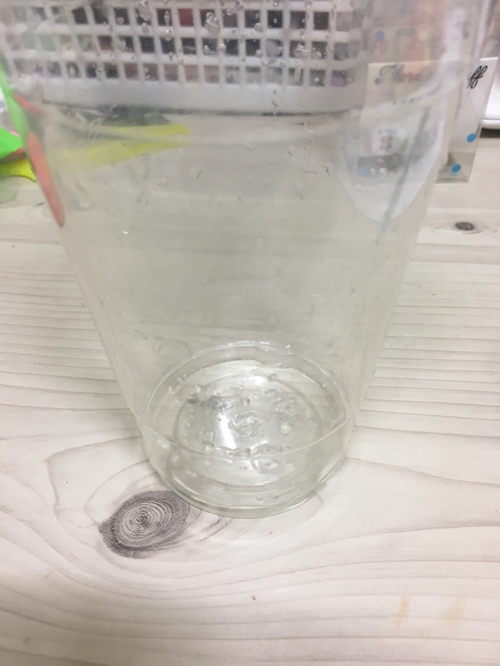 먼저 저는 투명한 플라스틱 컵을 이용했어요! 저는 집에 이게 있어서 사용했지만, 따라하실 분들은 그냥 아무 그릇이나 보울 같은걸 쓰셔도 돼요!!