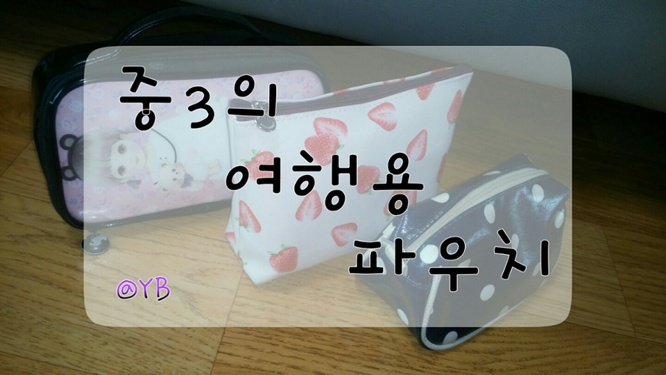 중3의 여행용 파우치! 편을 소개하겠습니다!!