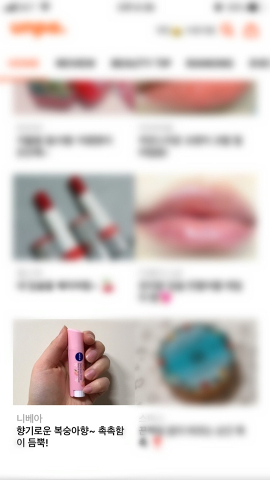 🌸메인 감사해용🌸