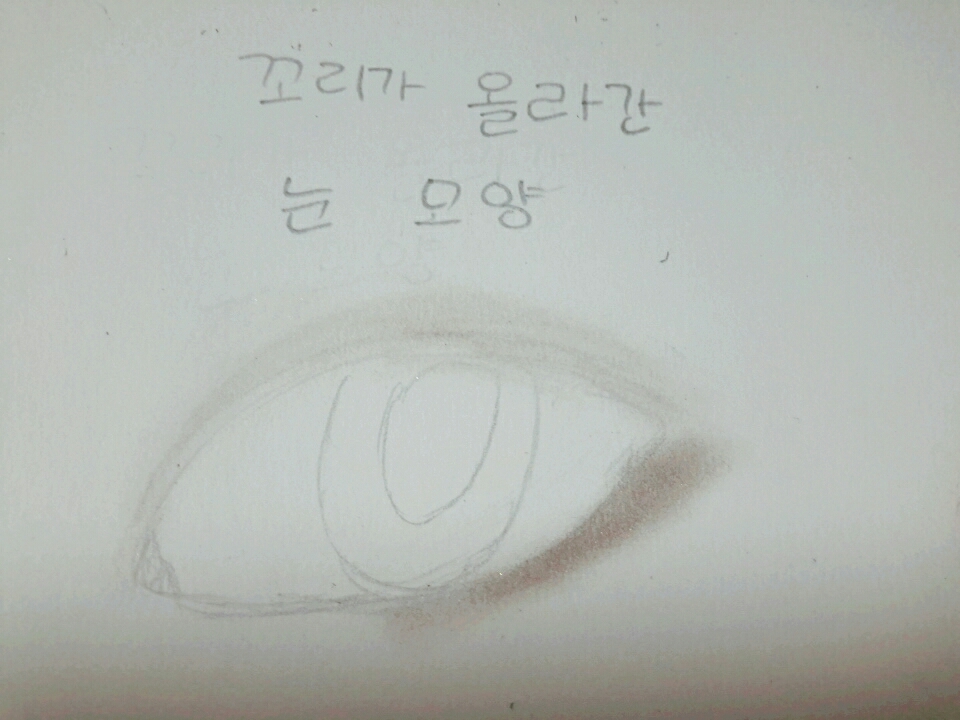 이 눈모양은 제 눈 모양인데요 올라간 언더 삼각존에다가 음영을 칠해주시면 눈이 처져보이고 눈두덩이 뒷부분에다가만 음영을 넣어주면 꼬리가 내려간것 처럼 보여요