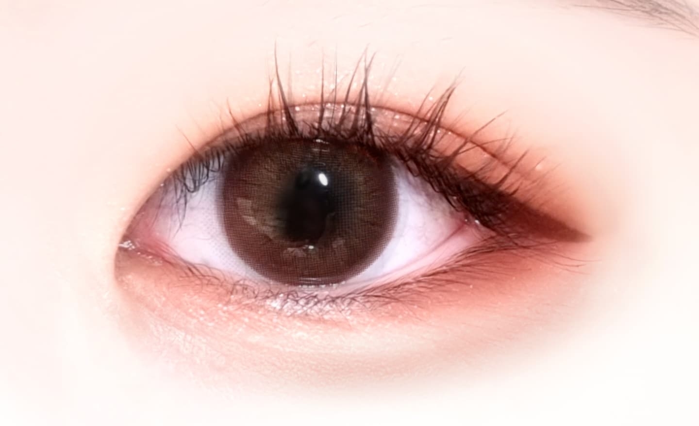 렌즈베리 (LensVery) 뷰렌티 [브라운] 파워리뷰 by 이루연 언니의파우치