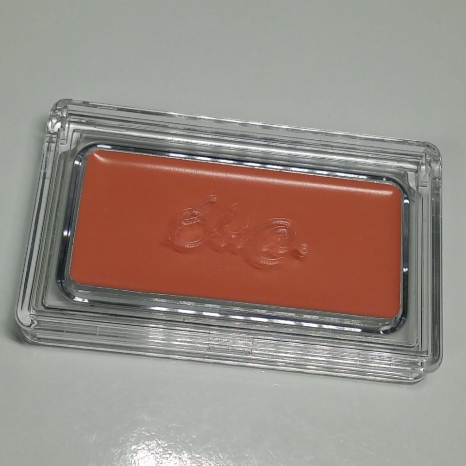 다우니 치크의 외관 모습입니다!
