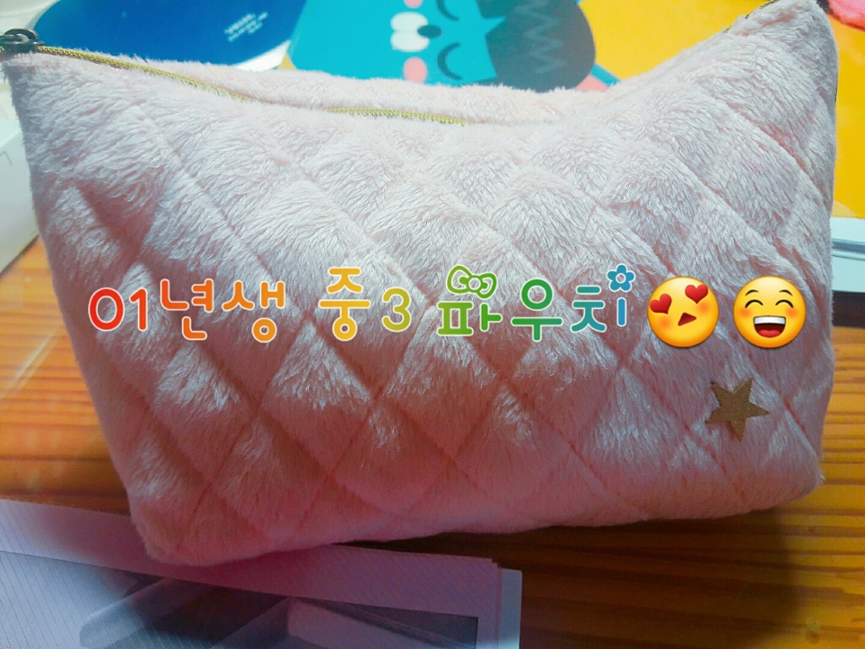안녕하세요~! 이제 고1되는 중3입니닷! 저의 소소한 파우치를 소개해보려해용 ㅎㅂㅎ 아무래도 학생이다보니 저렴한 제품들이 대부분이죵..
파우치는 다이소꺼에요!