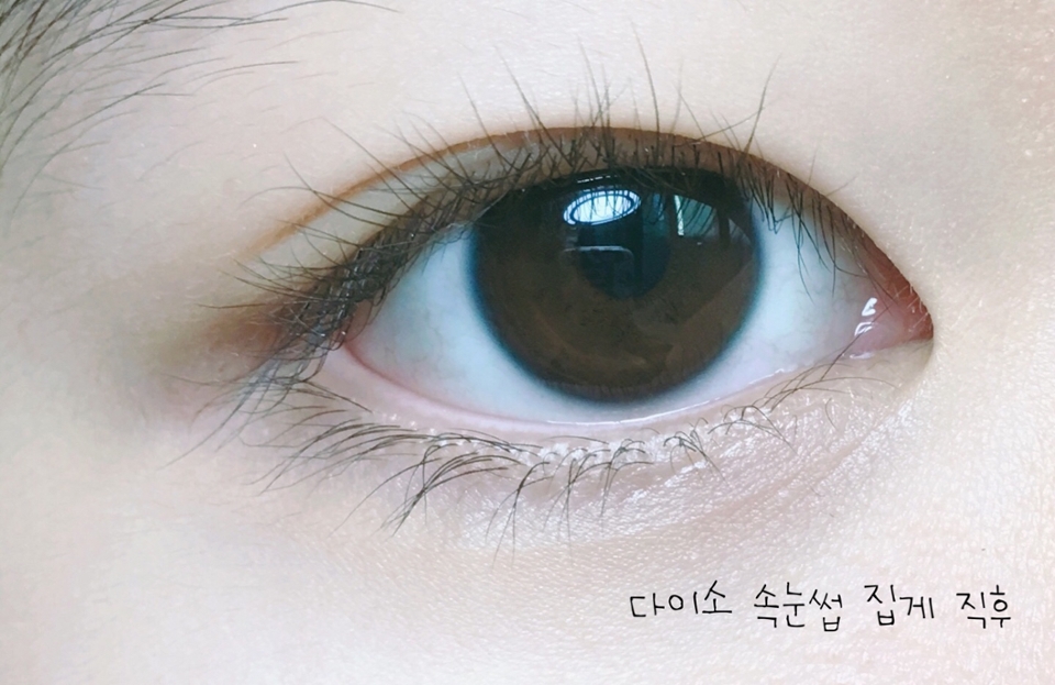다이소 뷰러를 처음 썼을 때 500원 치고 부드럽게 컬링이 잘 올라가서 정말 놀랬어요(●´ω｀●) 막 찝어도 눈은 안 찝을 것 같아서 초보자 입문용 뷰러로도 추천드리고 싶네요👍🏻