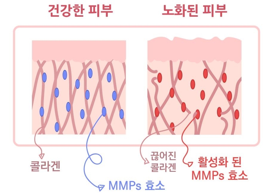 피부온도가 상승하면 'MMPs효소'라는 게 활성화되어서 콜라겐 구조를 끊어내고 노화를 유발한대요.

초승달크림은 '루핀프로테인' 성분으로 MMPs효소의 활성화를 막아서 피부장벽을 보호해주고 노화 방지에 도움을 주는 크림이에요.

가격대비 진짜 엄청 강추하는 크림입니다.