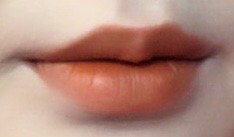 5_3CE 220
요색상은 무난하진않지만 저는 좋아하는 컬러중 하나에요! 낙엽과 너무 어울리는 색상이죠 ㅎㅎ 요색상은 봄웜톤분들께 적극추천드립니다!! 매트한 제형이에요~