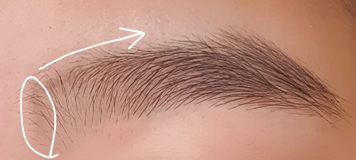 이렇게 눈썹 앞머리로 정한 곳에 아주 연하게 아이브로우를 그려주었구요 그곳에서부터 
눈썹 산까지 가장자리 라인을 따주었어요! 