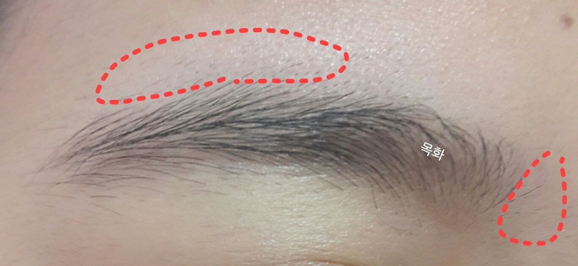 눈썹 위쪽과 미간사이에있는 긴 눈썹들을 쪽집개로 뽑아줍니다


tip :눈썹결의 반대방향으로 뽑아주시면 덜아파요

+아이브로우로 눈썹 테두리를 그려주신후에 뽑으시면 망할일이 없으니깐 참고하세요-