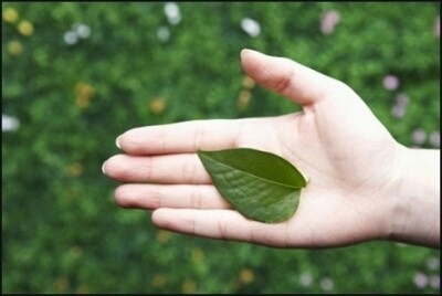 1.핸드크림과 비닐장갑만 있으면 되요! 핸드크림을 손한마디?만큼 바르고 비닐장갑을 쓰면되요