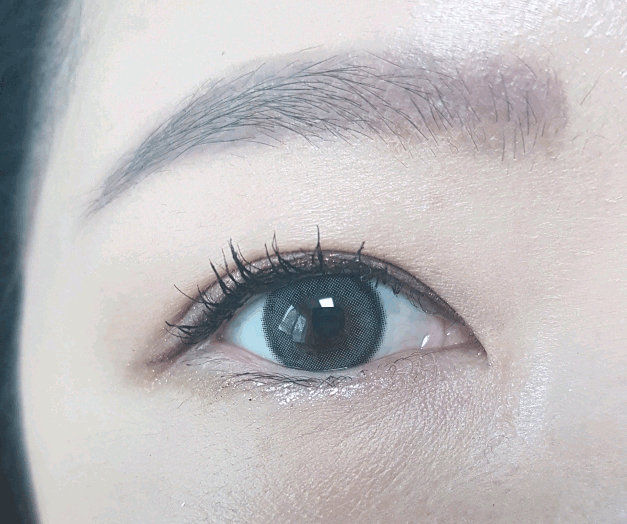 훌라 없음을 보여줄 움짤