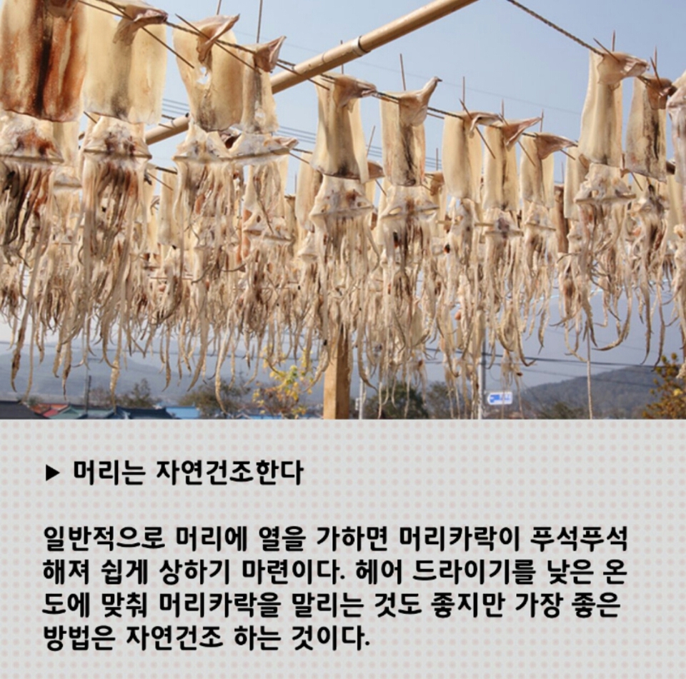 오징어난줄..😱😱
반곱슬이라서자연건조하면머리사자머리되는데..?