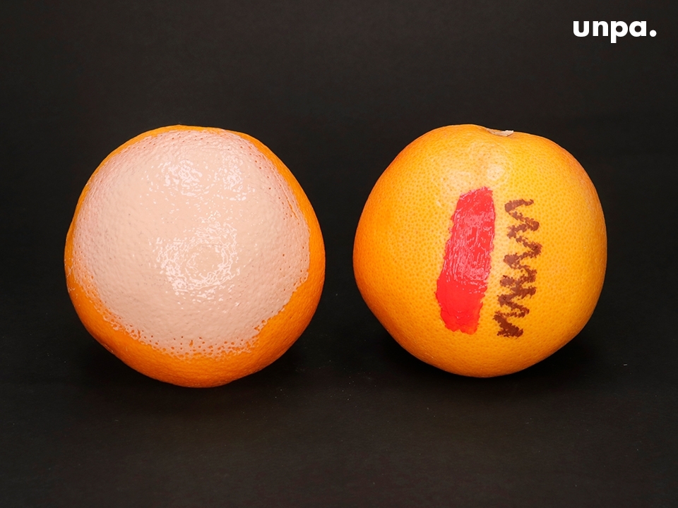 클렌징 제품에 절대 빠질 수 없는 세정력 TEST!
세정력은 물론, 모공 끼임까지 깐깐하게 체크하기 위해 
오렌지를 준비해찌~ 앞면에는 립스틱과 아이라이너를,
뒷면에는 파운데이션을 바르고 꼼꼼히 클렌징해봤어!
