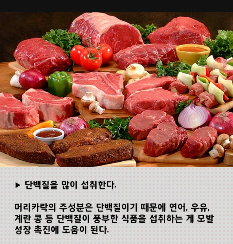 단백질..살찌는데..지방..