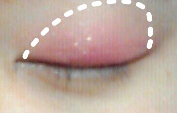 흰색점선까지 붉은색섀도우를 발라주세요