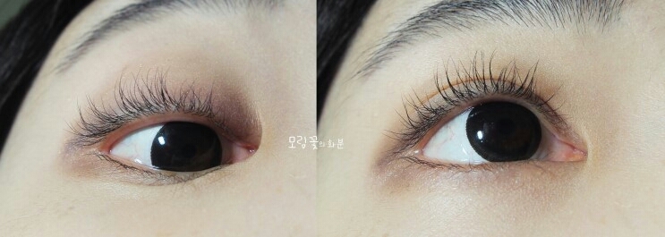 픽서 전 / 후
차이가 확 보이시나요?
픽서가 속눈썹을 빗질한 듯 정리해줬습니당.
또 속눈썹 가닥마다 끝에 화이버가 붙었어요!!!
(잘 보이게 찍으려고 많이 찍었는데ㅠㅠ 잘 보이시나요ㅠㅠ??)