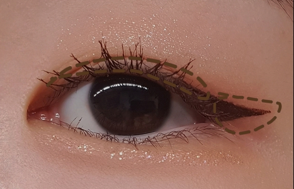 그러고 나서 음영 색상인 드라이 버들을 속눈썹 부분에 발라서 채워주시고 눈꼬리쪽에 음영을 준다는 생각으로 자연스럽게 아이라이너 라인을 잡아주세요. 

저는 삼각존을 채우진 않았지만 이 색상으로 삼각존도 살짝 채워주시면 눈이 더 확 트여보여요!