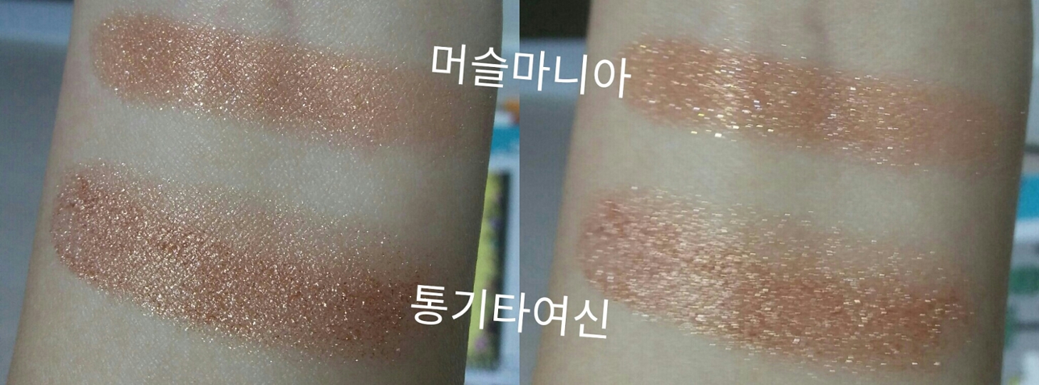 제가사랑하는 통기타여신과의 비교입니댜 :-)