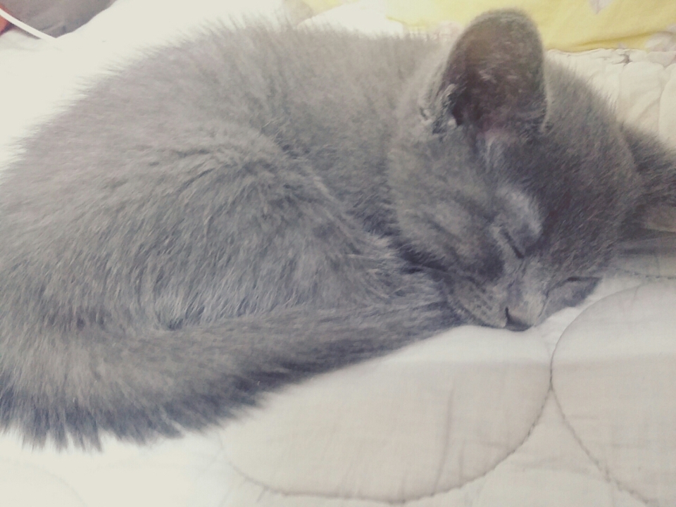 7가지 펜슬 모두 워터프루프 제품이에요.
잘번지는 제품들은 5분 정도가 지나니 문질러도 번지지 않았습니다.
그러니 라인 그리자마자 눈을 깜박거리면 
찍힐 수 있으니 잘말려주셔야 해요😂

가격과 모든 면을 비교했을때
우드버리랑 마몽드 추천할게요!