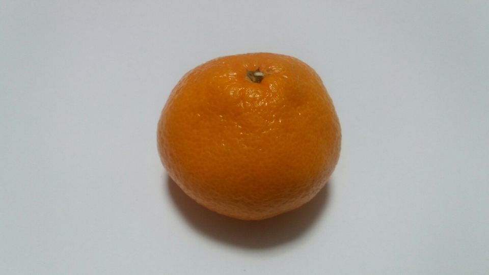 저의 첫 실험대상이되실 김귤씨 입니당🍊