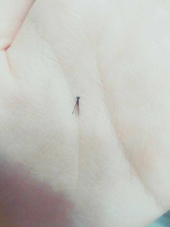 가위로 속눈썹을 잘라줍니다! 마음이 아파도 과감하게! 컬부분이 조금만 남도록 자르시면 적당할것같아요
