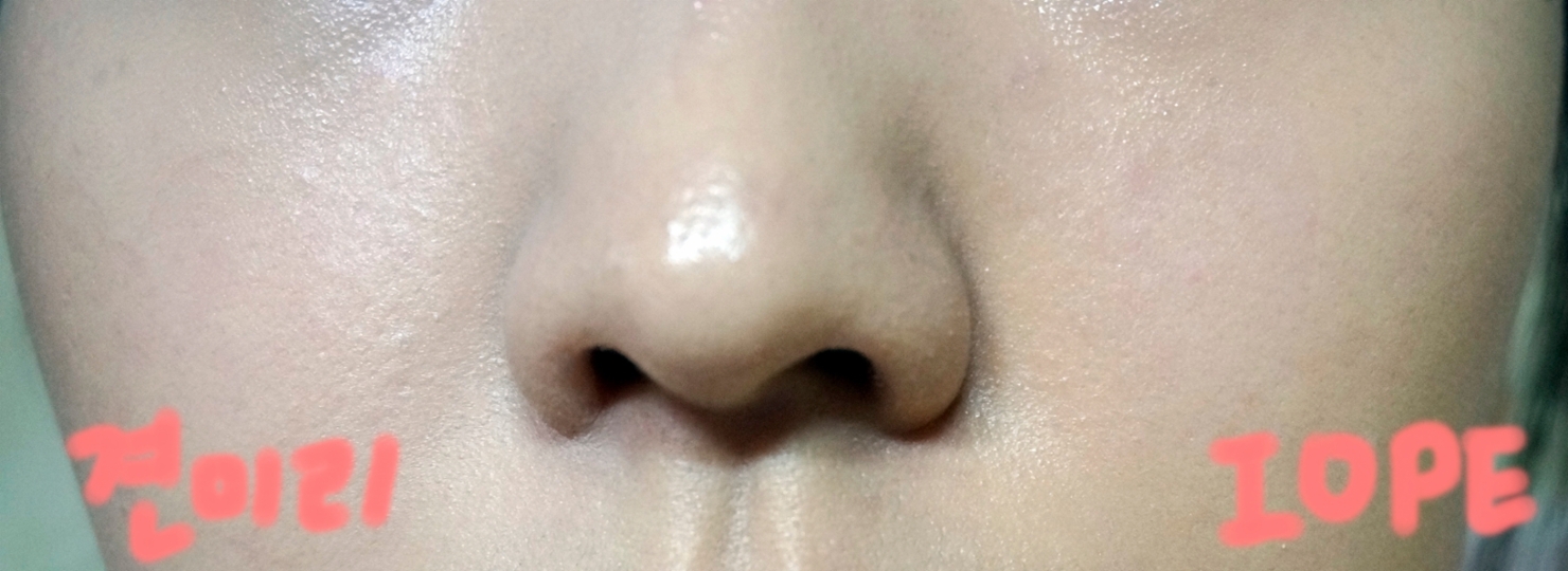 색감 차이가 확연히 느껴지시죠?
엄마는 아이오페가 낫다고 하셨고, 저는 개인적으로 견미리가 더 좋았어요
내추럴한 메이크업이나 가을 메이크업 같이 음영을 중점적으로 할때는 IOPE가 좋을거 같구
핑크메이크업과 같은 화사한 메이크업을 할때는 요거 추천해요