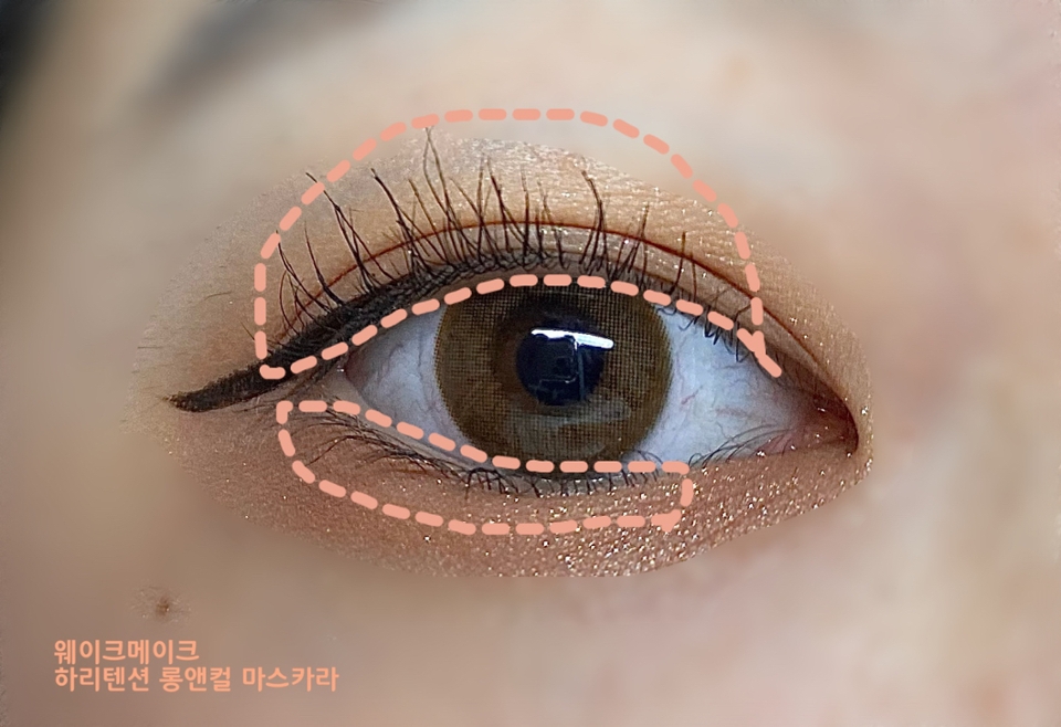 🤎그리고 웨이크메이크 하이텐션 롱앤컬 마스카라로 자연스럽게 발라줍니다🤎